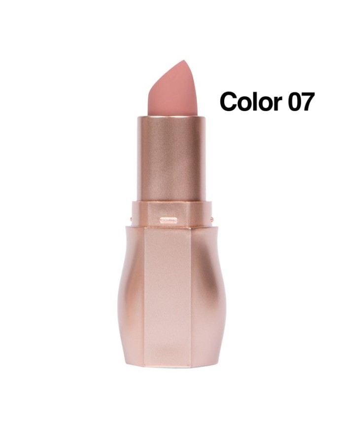 LABIAL MATTE BRONZE USHAS TONOS B