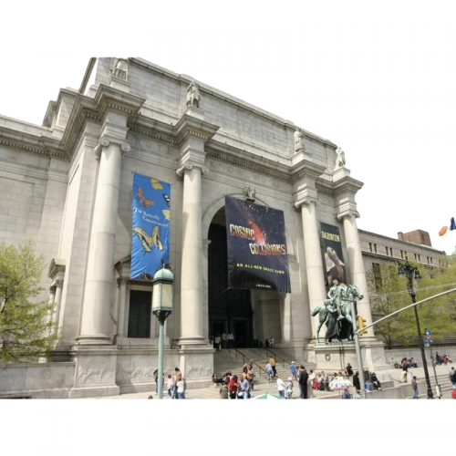 CONOCE EL MUSEO AMERICANO DE HISTORIA NATURAL NYC