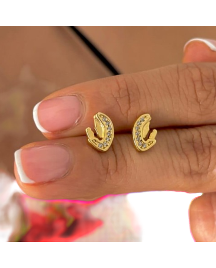 ARETES VIRGEN MARIA