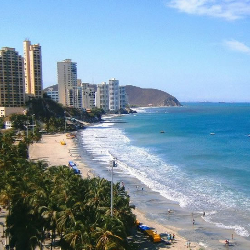 SANTA MARTA TERRESTRE.
