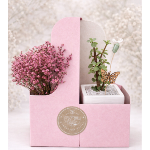 ARREGLO GRATITUD CRISÁLIDA + PLANTA + MACETA + FLORES SECAS
