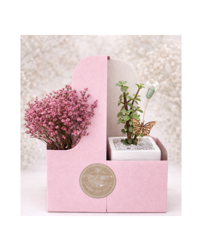 ARREGLO GRATITUD CRISÁLIDA + PLANTA + MACETA + FLORES SECAS