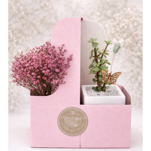 ARREGLO GRATITUD CRISÁLIDA + PLANTA + MACETA + FLORES SECAS