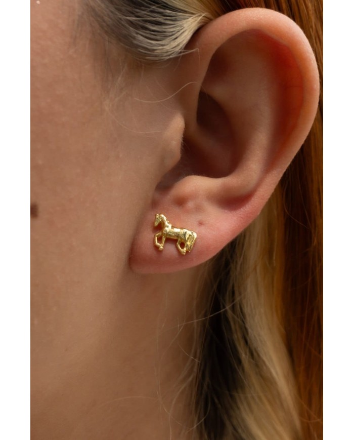 Arete Caballo 🐴