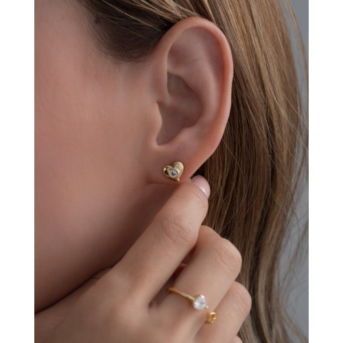 Arete Pasión