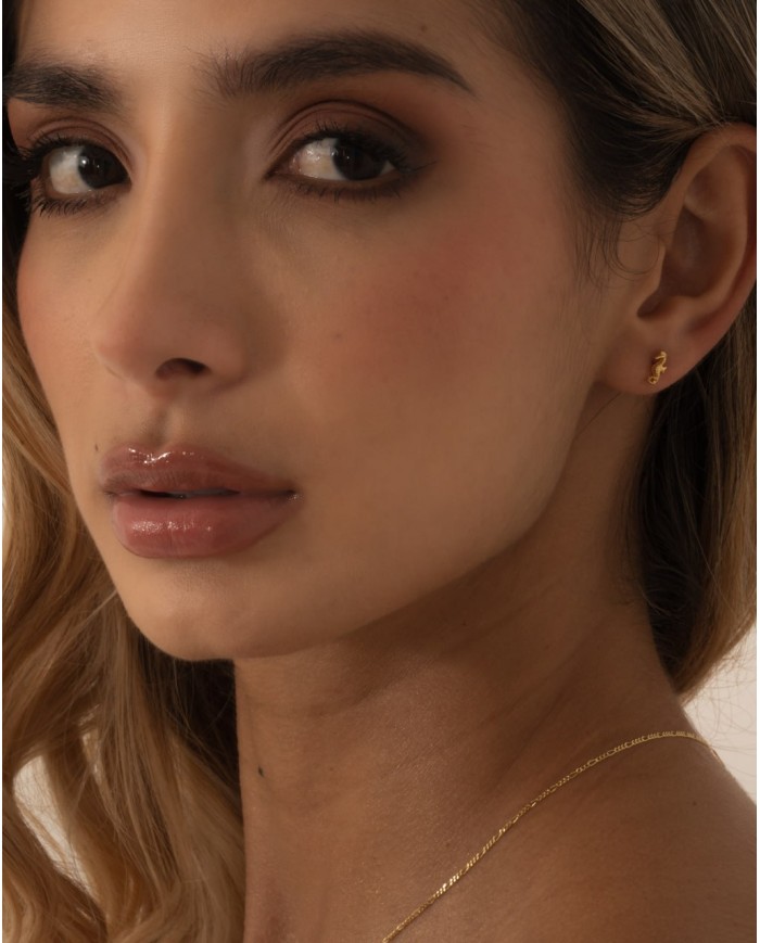 Arete Caballito de Mar