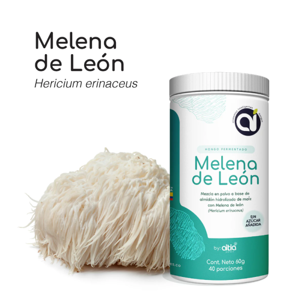 MELENA DE LEÓN (Hericium erinaceus)