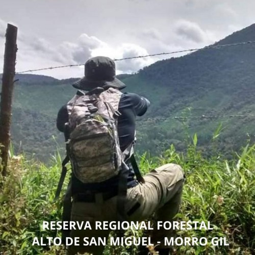 RESERVA FORESTAL PROTECTORA REGIONAL, MORRO GIL, ALTO DE SAN MIGUEL - REGIONAL ANTIOQUIA