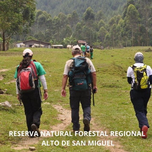 RESERVA FORESTAL PROTECTORA REGIONAL, ALTO DE SAN MIGUEL, NACIMIENTO DEL  RíO MEDELLIN CALDAS,  REGIONAL  (ANTIOQUIA)