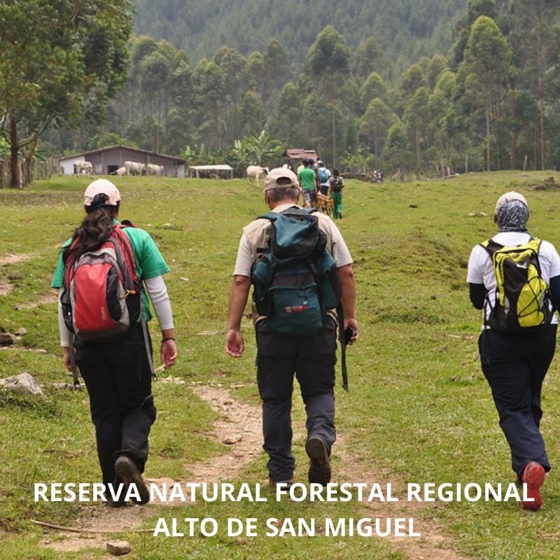 RESERVA FORESTAL PROTECTORA REGIONAL, ALTO DE SAN MIGUEL, NACIMIENTO DEL  RíO MEDELLIN CALDAS,  REGIONAL  (ANTIOQUIA)