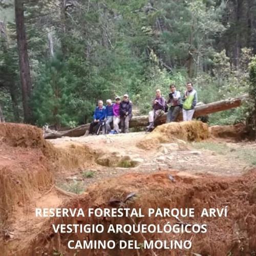 RESERVA FORESTAL PARQUE ARVÍ -   CAMINO DEL MOLINO Y VESTIGIOS ARQUEOLOGICOS - EMPRESARIAL, REGIONAL ( ANTIOQUIA)