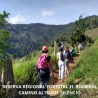 RESERVA FORESTAL EL ROMERAL - ALTO DEL SILENCIO  CORREGIMIENTO SAN ANTONIO DE PRADO   MUNICIPIO DE MEDELLIN, REGIONAL ( ANTIOQ