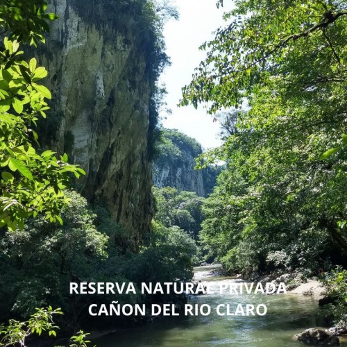 RESERVA NATURAL CAÑON DEL RIO CLARO RIO CLARO ECOSISTEMA CALCAREO Y REFUGIO DE VIDA SILVESTRE FAUNA Y FLORA