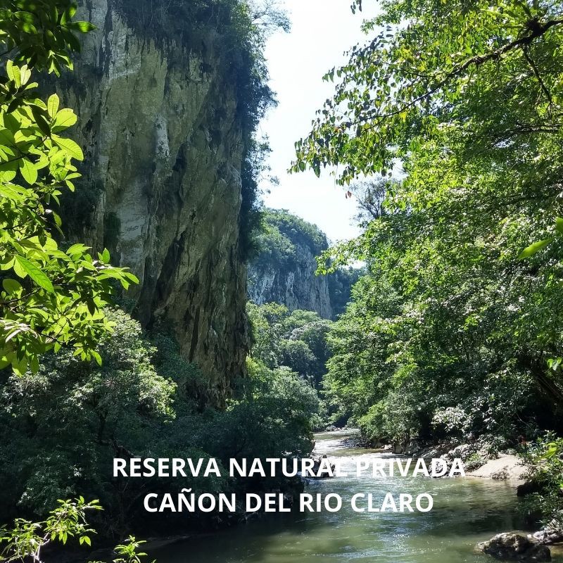 RESERVA NATURAL CAÑON DEL RIO CLARO RIO CLARO ECOSISTEMA CALCAREO Y REFUGIO DE VIDA SILVESTRE FAUNA Y FLORA
