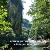 RESERVA NATURAL CAÑON DEL RIO CLARO RIO CLARO ECOSISTEMA CALCAREO Y REFUGIO DE VIDA SILVESTRE FAUNA Y FLORA