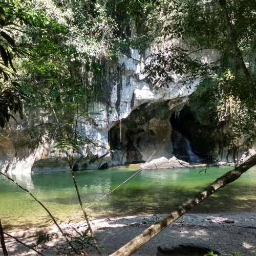RESERVA NATURAL CAÑON DEL RIO CLARO RIO CLARO ECOSISTEMA CALCAREO Y REFUGIO DE VIDA SILVESTRE FAUNA Y FLORA