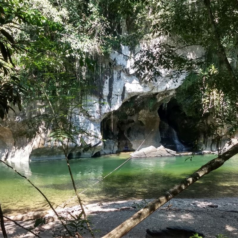 RESERVA NATURAL CAÑON DEL RIO CLARO RIO CLARO ECOSISTEMA CALCAREO Y REFUGIO DE VIDA SILVESTRE FAUNA Y FLORA