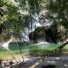 RESERVA NATURAL CAÑON DEL RIO CLARO RIO CLARO ECOSISTEMA CALCAREO Y REFUGIO DE VIDA SILVESTRE FAUNA Y FLORA