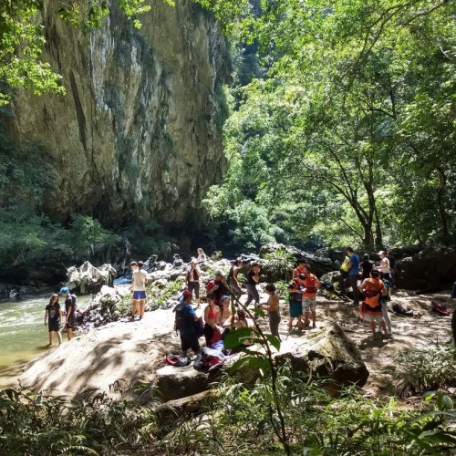 RESERVA NATURAL CAÑON DEL RIO CLARO RIO CLARO ECOSISTEMA CALCAREO Y REFUGIO DE VIDA SILVESTRE FAUNA Y FLORA