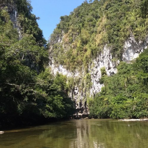 RESERVA NATURAL CAÑON DEL RIO CLARO RIO CLARO ECOSISTEMA CALCAREO Y REFUGIO DE VIDA SILVESTRE FAUNA Y FLORA
