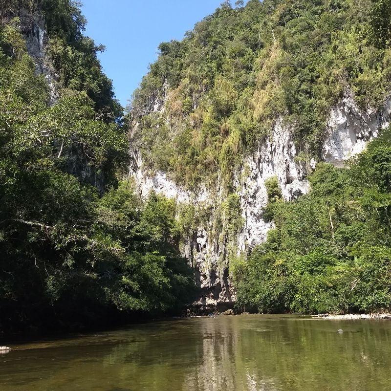 RESERVA NATURAL CAÑON DEL RIO CLARO RIO CLARO ECOSISTEMA CALCAREO Y REFUGIO DE VIDA SILVESTRE FAUNA Y FLORA