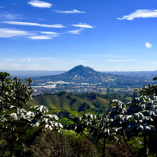 ANTIOQUIA-PASO DE LA FLOR Y EL CAPIRO