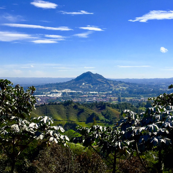 ANTIOQUIA-PASO DE LA FLOR Y EL CAPIRO