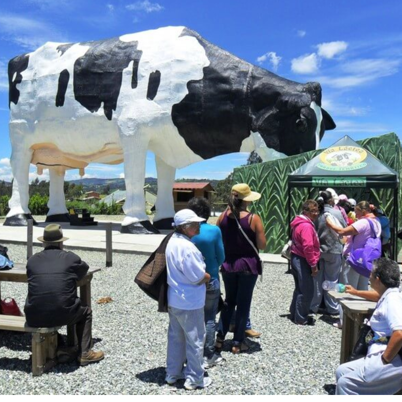 ANTIOQUIA-PASEO LECHERO
