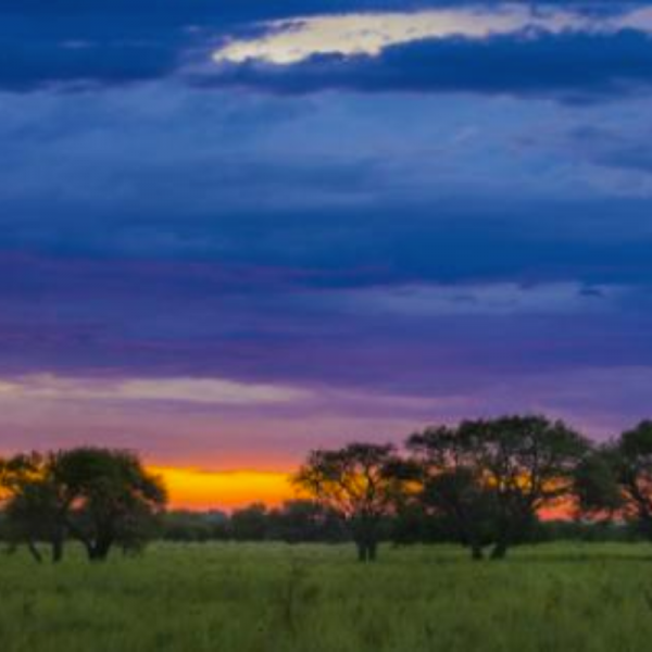 LLANOS ORIENTALES EXCURSIÓN TERRESTRE 4 NOCHE ALOJAMIENTO